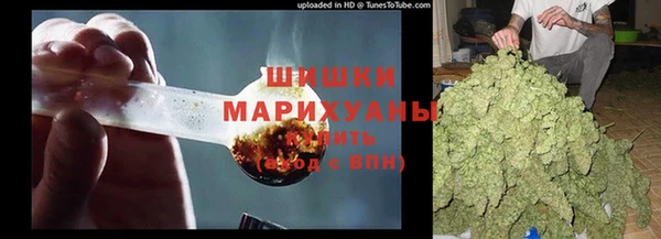 PSILOCYBIN Алзамай