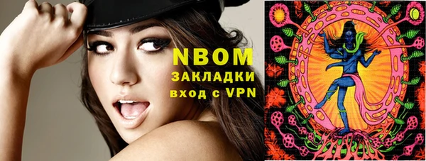 PSILOCYBIN Алзамай